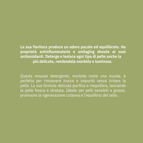 Mousse Detergente Viso - Camomilla